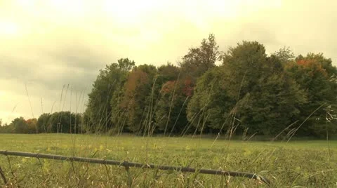 Field in fall 動画素材 10830827