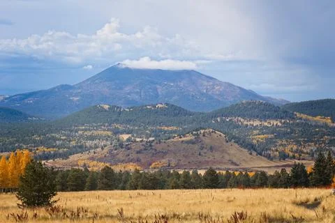A field in the Fall with a mountain in the background, Flagstaff, Arizona. Stock Photos