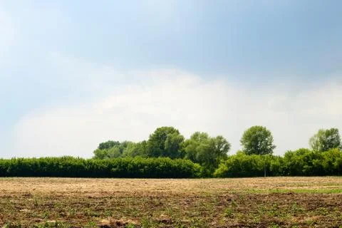Field fallow Stock Photos