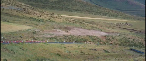 A field with a farmer and sheep Vídeo Stock 342139620
