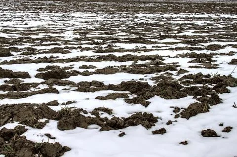 Field from a farmer in the winter Stock Photos