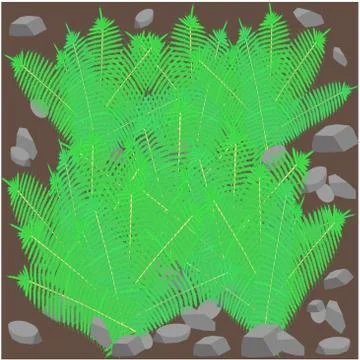 A field of fern 스톡 일러스트