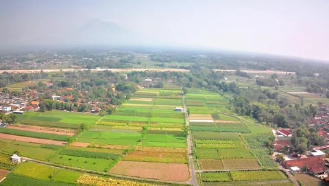 The field of the field view drone Video stock 293034831