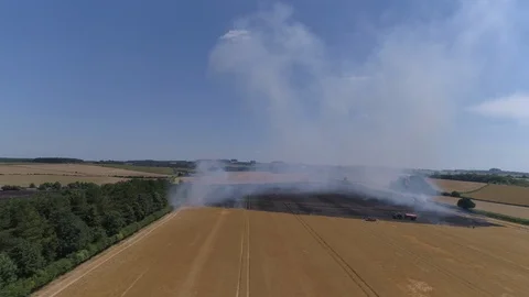 Field on fire with firefighters (drone) Stock Footage 92088294