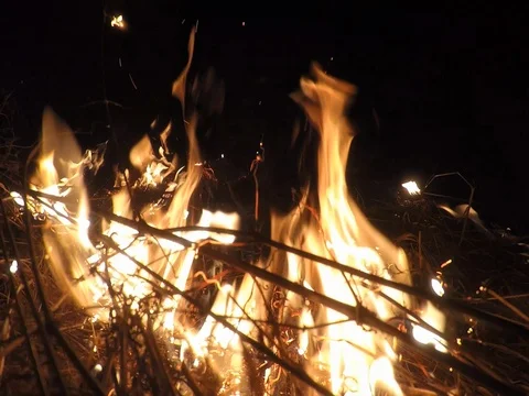 Field fire, ground fire. Scene of fire Stock Footage 73747592