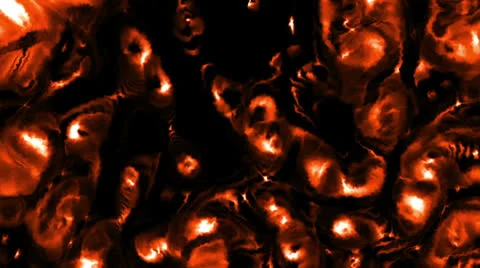 Field Of Fires 스톡 동영상 26391991