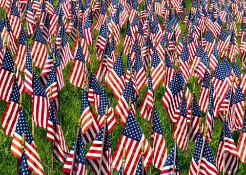 Field Of Flags Foto stock