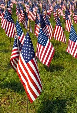 A field of Flags Stock Photos