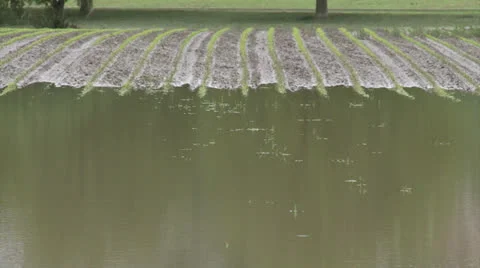 Field flooded - HD Stock Footage 24633701