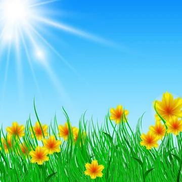 Field of flower with bright sun Vector illustration of field of flower wit... Stock Photos