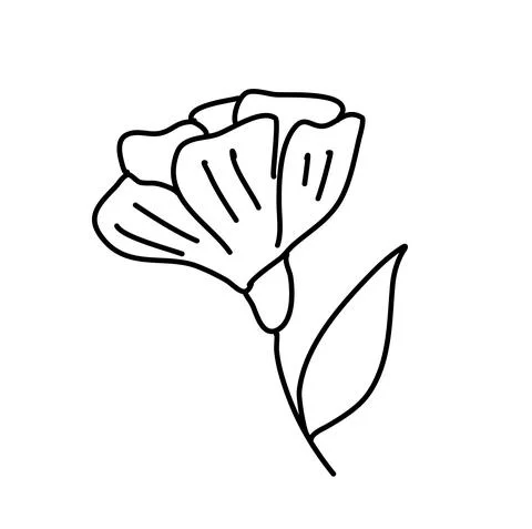 Field flower isolated on white. Vector illustration Stock Illustration
