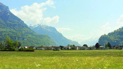 Field of flowering dandelions.Flying fluff. Stock Footage 130445168