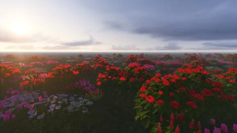 Field of flowers Illustrazione stock