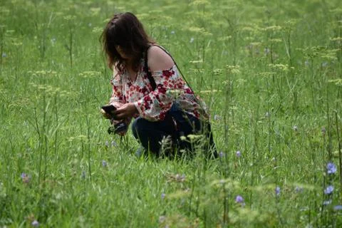 Field of Flowers Foto stock
