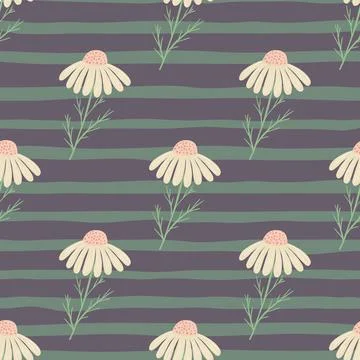 Field flowers seamless pattern with hand drawn camomile flowers elements. Pur Stock Illustration