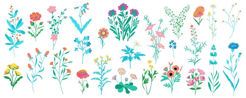 Field Flowers Set Stock Illustration