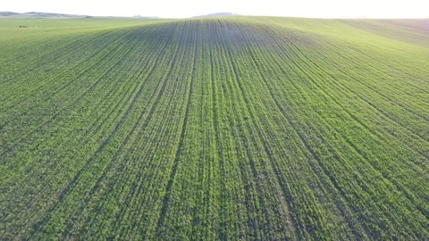 Field Fly Over Backwards Stock Footage 109246791