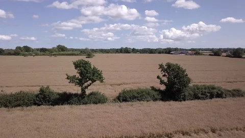 Field Fly Over Видео 109194035