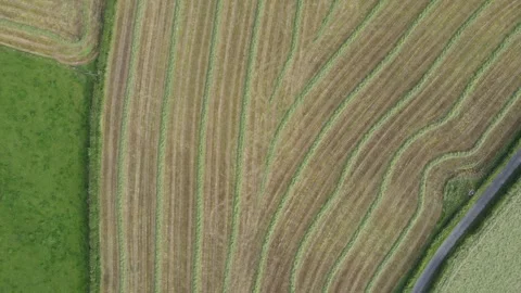 Field flyby Stock Footage 337461950