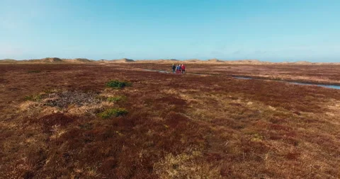 Field flyby river dune background field Stock-Footage 153515423