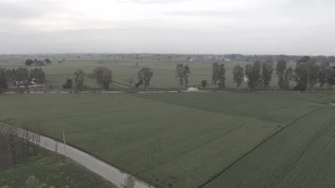 Field Flyover Stock Footage 227726922