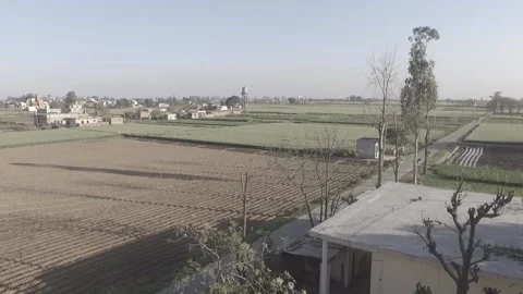 Field Flyover Stock Footage 227727260