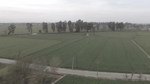 Field Flyover in Punjab Stock Footage 227718914