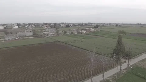 Field Flyover in Punjab Stock Footage 227719288