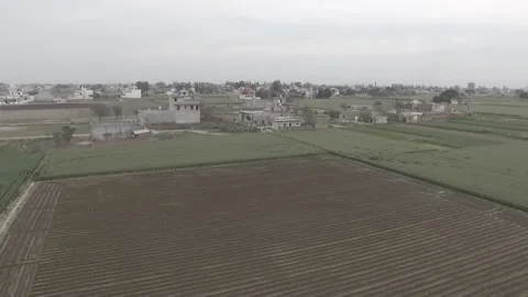 Field Flyover Punjab Stock Footage 227719668