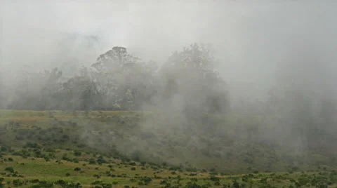 Field in a fog 4k Stock Footage 50191302