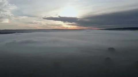 A field in the fog at dawn Video stock 217283589