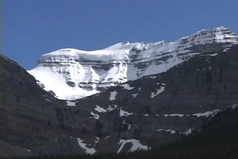 Field  Stock Footage 370783