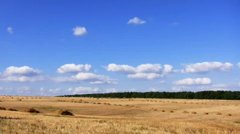 Field Stock Footage 485360