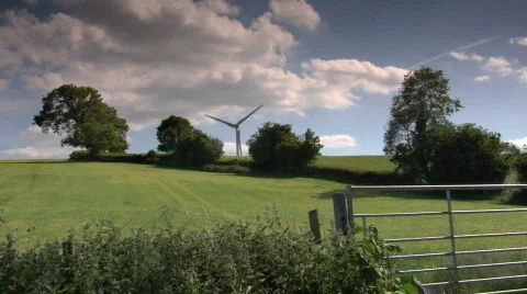 Field Stockbeeldmateriaal 739394