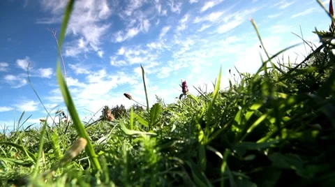 Field Stock Footage 8633841