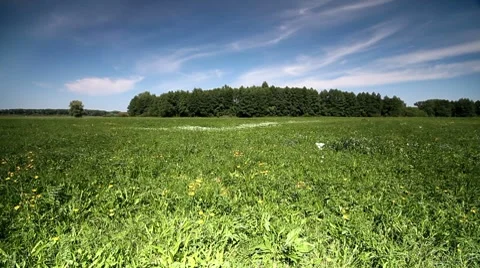 Field Stock Footage 8635696