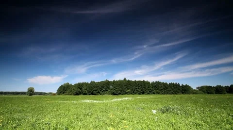 Field Stock Footage 8635889