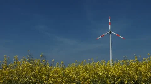 Field Stock Footage 10568156