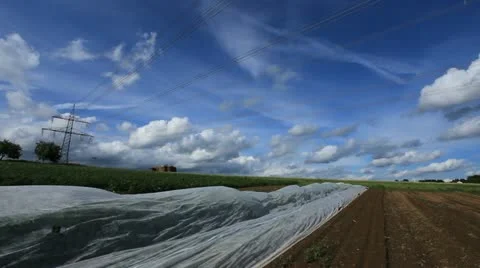 Field 库存影片 20606136