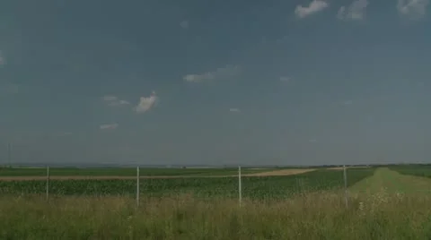 Field Video stock 21662033