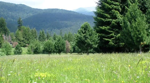 Field 스톡 동영상 25042278