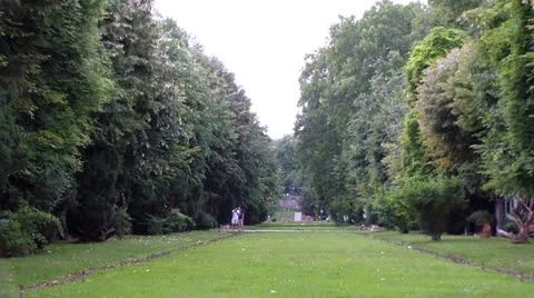 Field Stock Footage 25042282