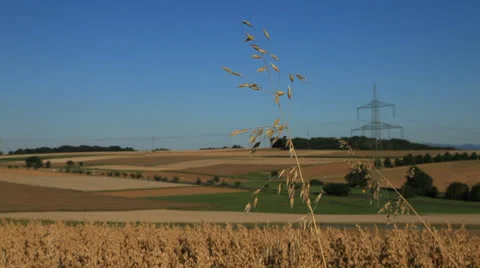 Field 库存影片 26349311