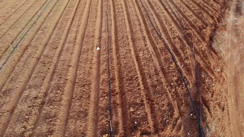 Field Stock Footage 89928864