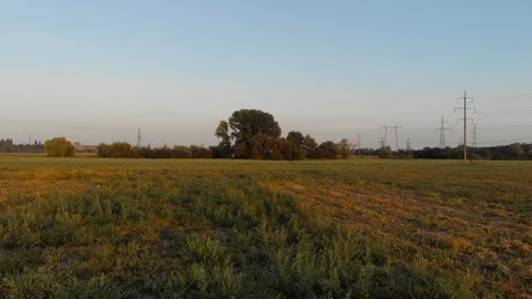 Field Stock Footage 96309349