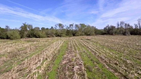 Field Stock Footage 102691916