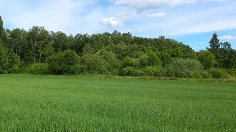 Field Video stock 104950606