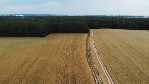 Field! Stock Footage 111459933