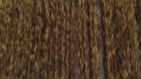 Field! Stock Footage 111459966