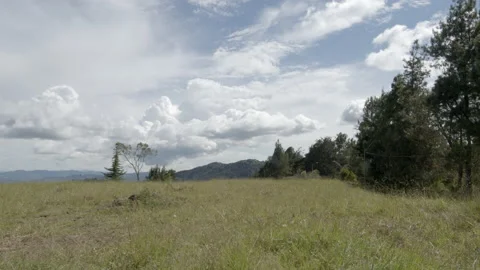 Field Video stock 142055773